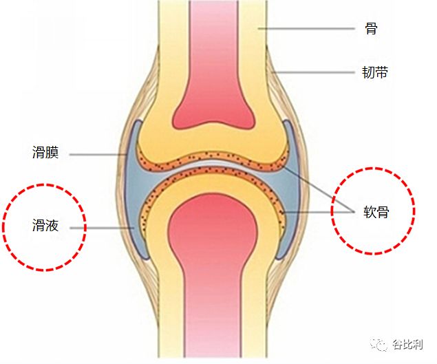 1605604039505423.jpg 微信图片_20201117171758.jpg